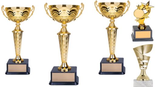Ödül Kupaları, Bursa Ödül Kupaları, Osmangazi Ödül Kupaları, Yıldırım Ödül Kupaları, Nilüfer Ödül Kupaları, Kestel Ödül Kupaları, İnegöl Ödül Kupaları, Karacabey Ödül Kupaları, Gemlik Ödül Kupaları, Yalova Ödül Kupaları, Mudanya Ödül Kupaları, Genel Kupalar, Figürlü Kupalar, Ekonomik Kupalar, Metal Kupalar, Elit Kupalar, VIP Kupalar, Genel Kupalar