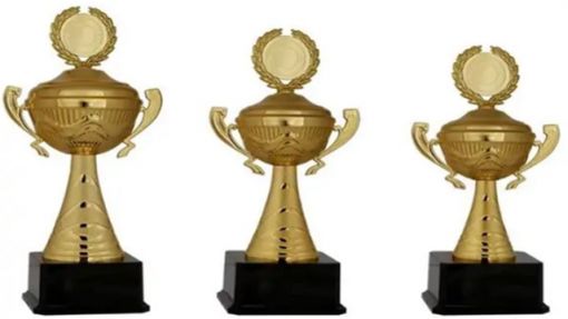 Ödül Kupaları, Bursa Ödül Kupaları, Osmangazi Ödül Kupaları, Yıldırım Ödül Kupaları, Nilüfer Ödül Kupaları, Kestel Ödül Kupaları, İnegöl Ödül Kupaları, Karacabey Ödül Kupaları, Gemlik Ödül Kupaları, Yalova Ödül Kupaları, Mudanya Ödül Kupaları, Genel Kupalar, Figürlü Kupalar, Ekonomik Kupalar, Metal Kupalar, Elit Kupalar, VIP Kupalar, Genel Kupalar